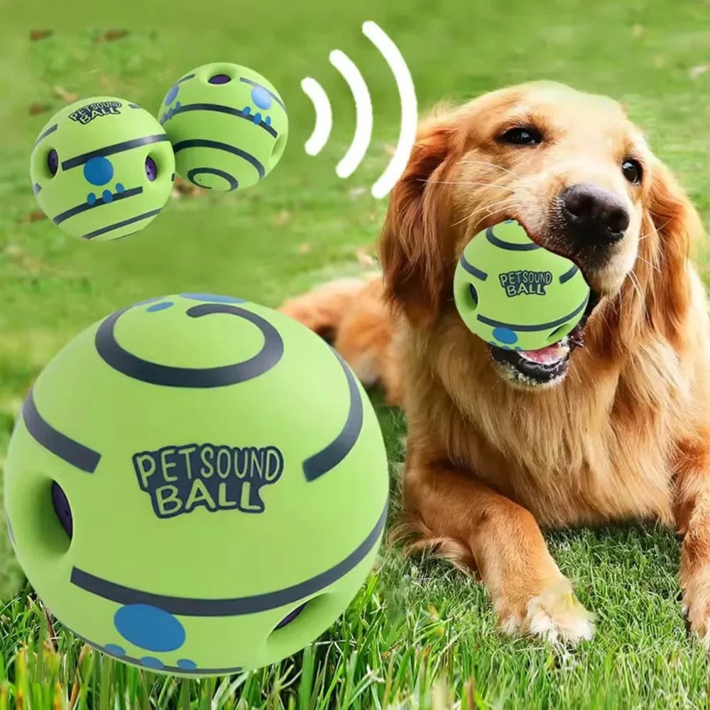 Golden avec une balle pour chien sonore dans la bouche