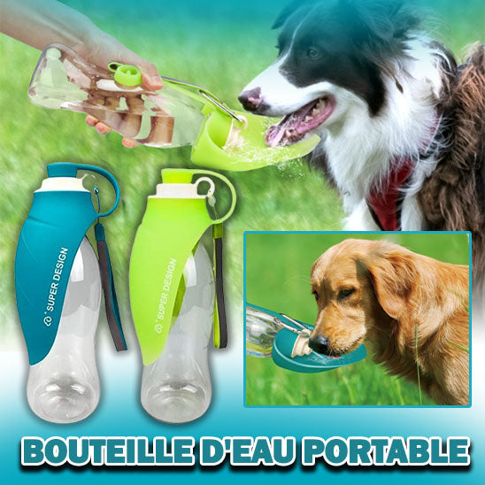 Gourde pour chien portable pour une hydratation facile