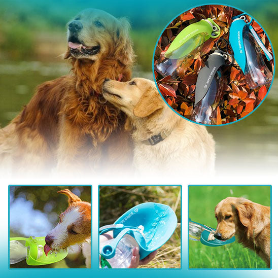 Gourde pour chien pour les aventures en pleine nature