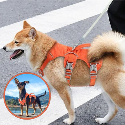 Harnais anti traction chien avec boucles faciles à ouvrir
