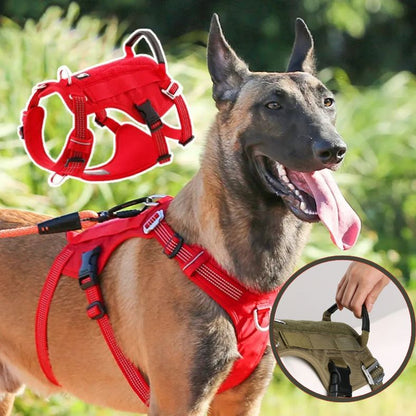 Harnais anti traction chien avec poignée dorsale renforcée