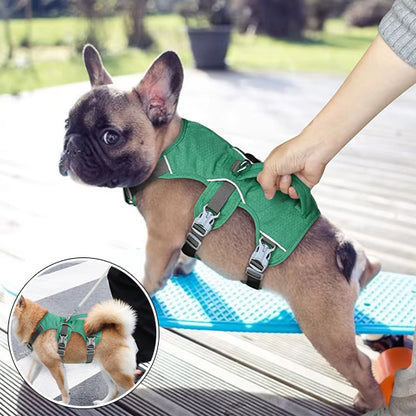 Harnais anti traction chien poignée levage intégrée
