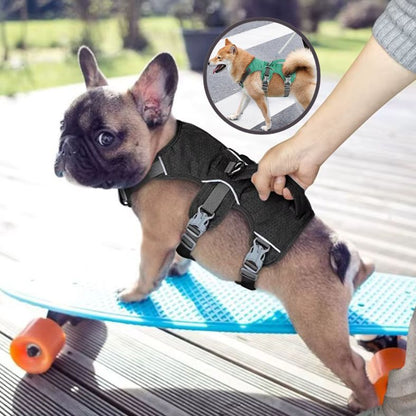 Harnais anti traction chien poignée meilleur contrôle