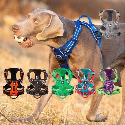 Harnais anti traction chien réfléchissant et compatible avec lumière LED