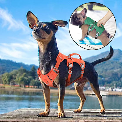 Harnais anti traction chien réglable pour toutes races