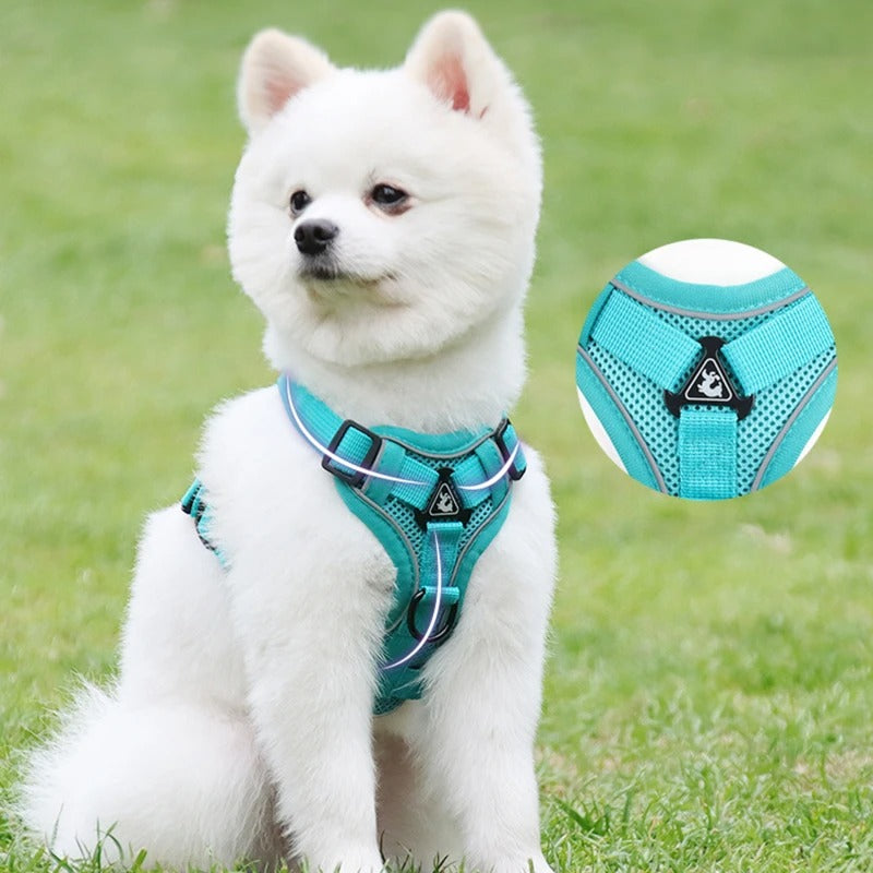 Harnais chien anti traction avec attache frontale, idéal pour l’éducation en douceur
