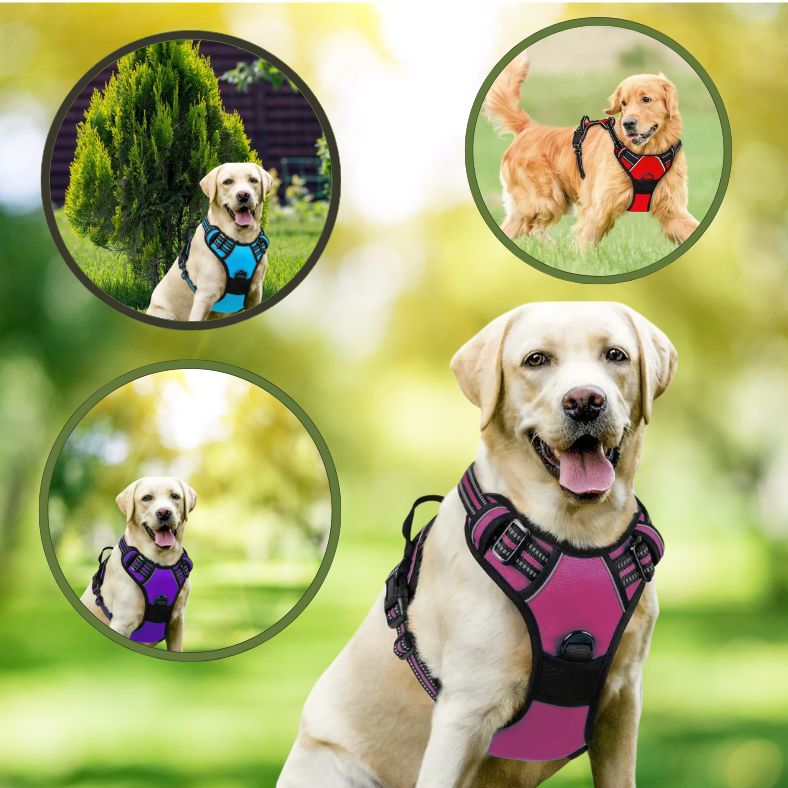 Harnais-chien-confortable-avec-doublure-respirante-pour-balade-estivale