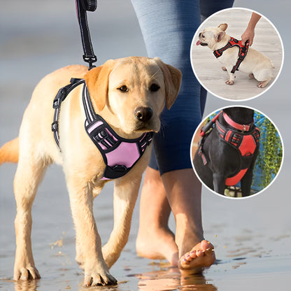 Harnais-chien-ergonomique-ajusté-sur-un-labrador-en-promenade