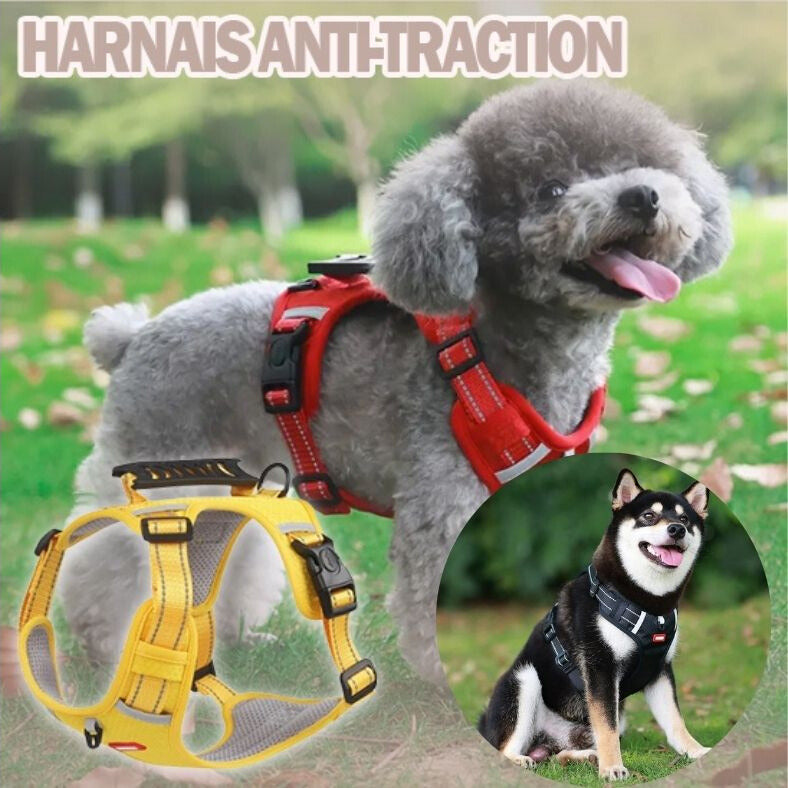 Harnais-chien-anti-traction