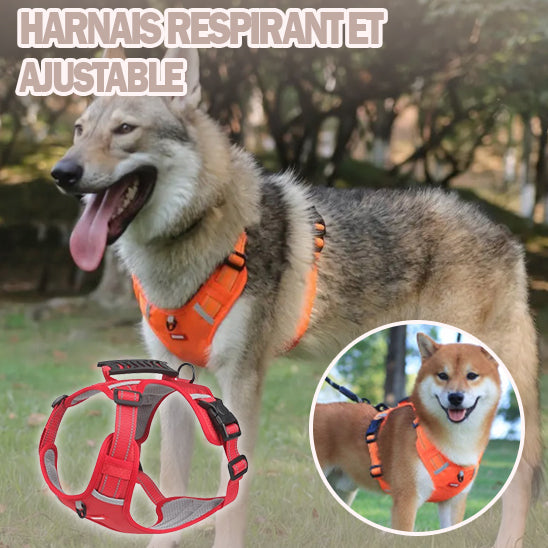 harnais-chien-anti-traction