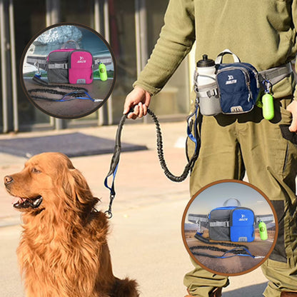Laisse chien main libre avec couleurs visibles et équipement complet