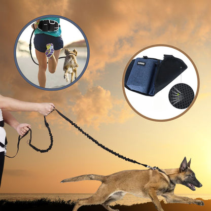 Laisse main libre pour chien idéale pour le sport