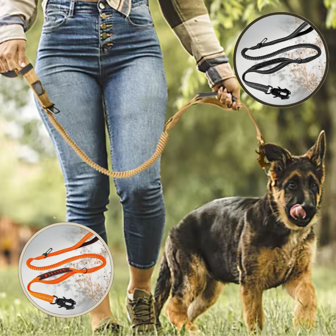 Laisse pour chien avec poignée courte pour contrôle précis