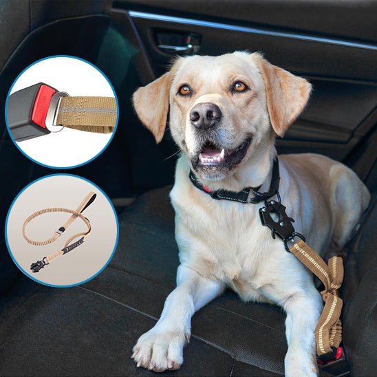 Laisse pour chien compatible ceinture de sécurité pour voiture