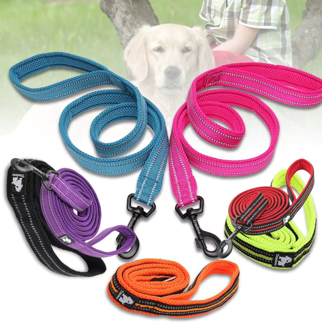 Laisse pour chien disponible en deux tailles pour toutes les races