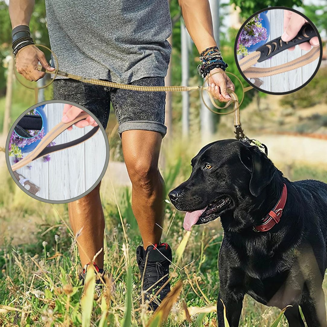 Laisse pour chien élastique avec double poignée et système anti choc