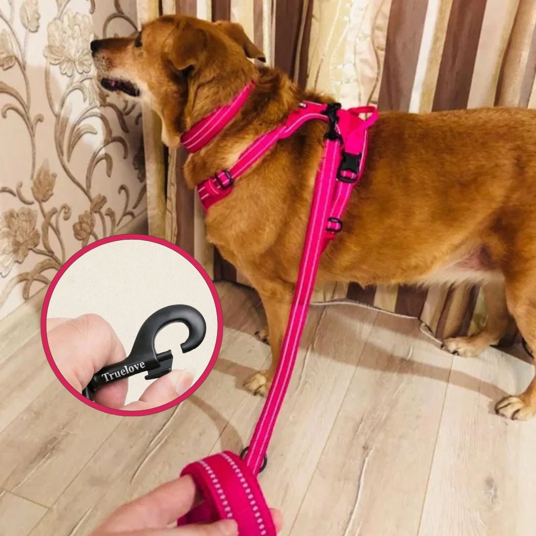 Laisse pour chien en nylon robuste avec crochet haute résistance