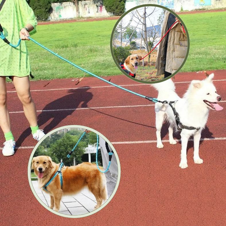 Laisse pour chien en nylon robuste avec poignée rembourrée antibrûlure