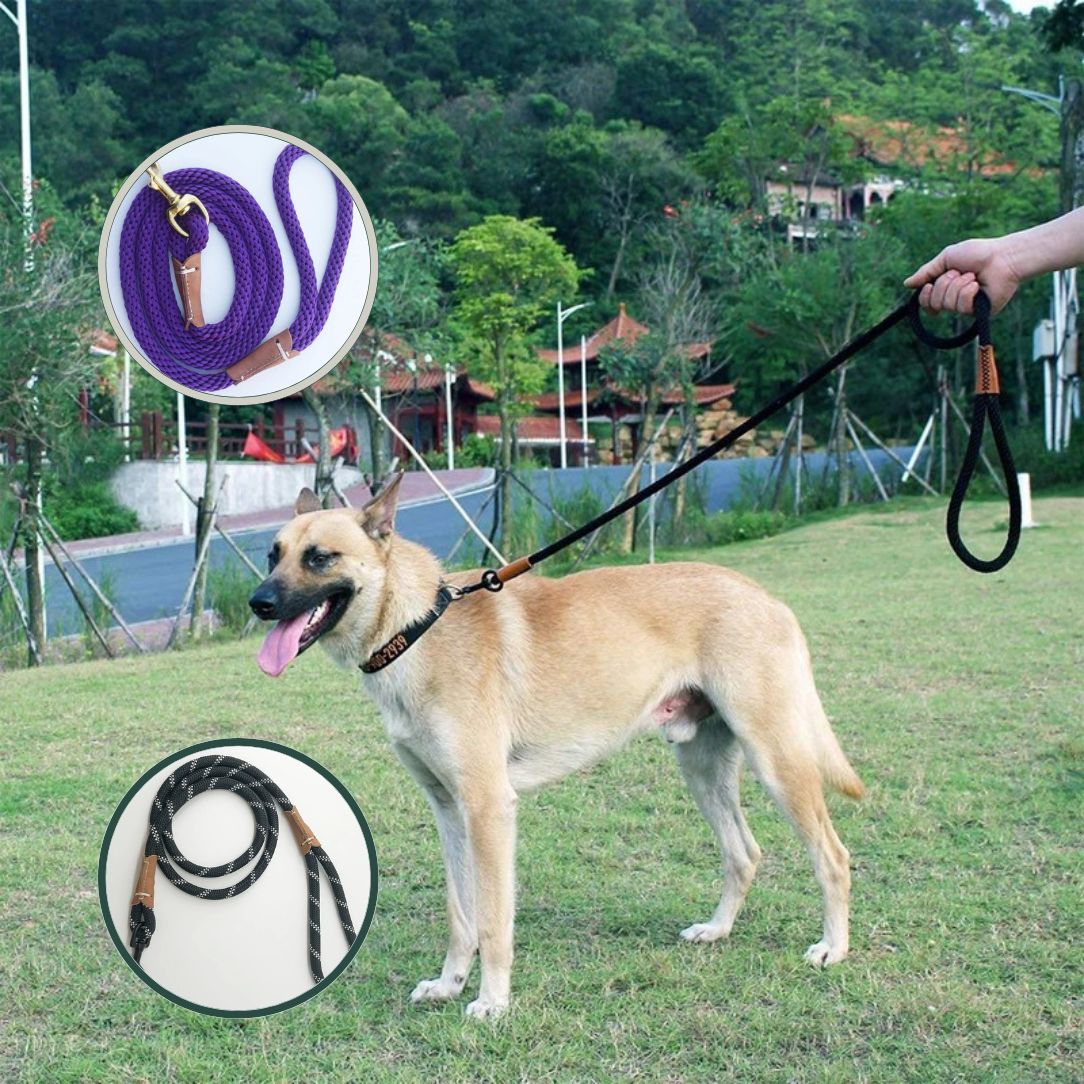 Laisse pour chien en nylon tressé pour chien de grande taille