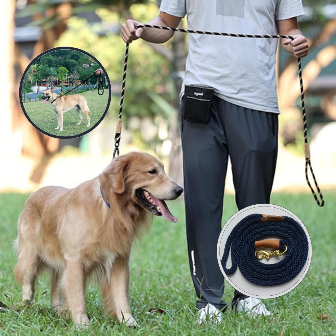 Laisse pour chien en nylon tressé pour promenade sans fatigue