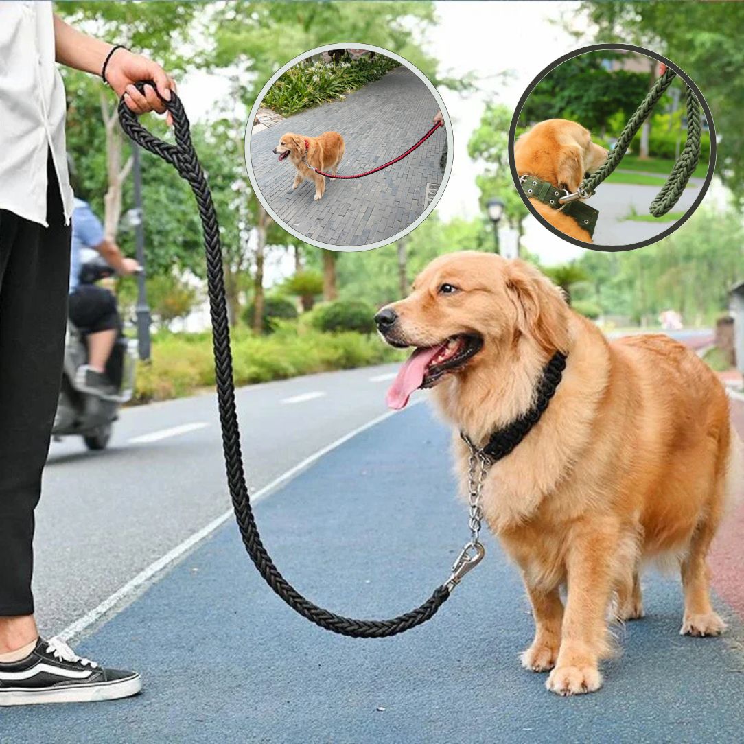 Laisse pour chien ergonomique avec poignée confortable pour longues sorties