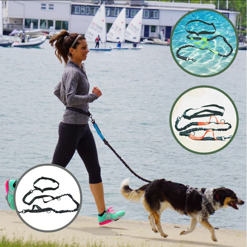 Laisse pour chien main libre absorbant les chocs