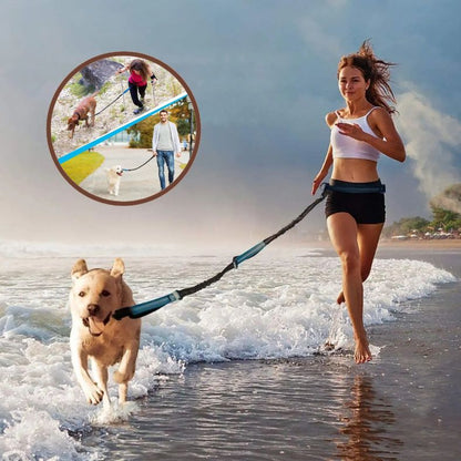 Laisse pour chien main libre parfaite pour les randonnées