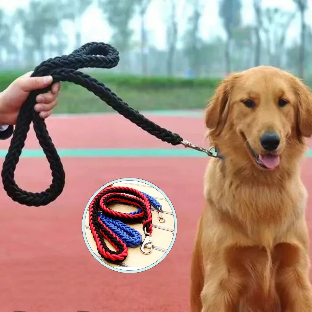 Laisse pour chien polyvalente idéale pour randonnées et ville