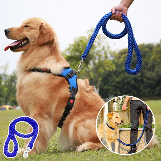 Laisse pour chien pour balades avec liberté et contrôle