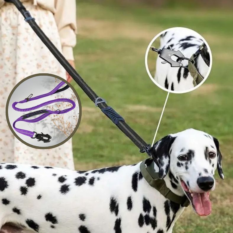 Laisse pour chien réfléchissante pour promenade nocturne en toute sécurité
