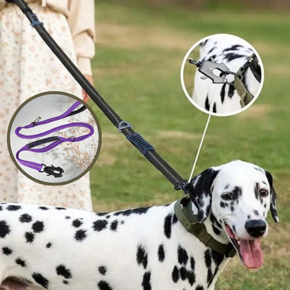 Laisse pour chien réfléchissante pour promenade nocturne en toute sécurité
