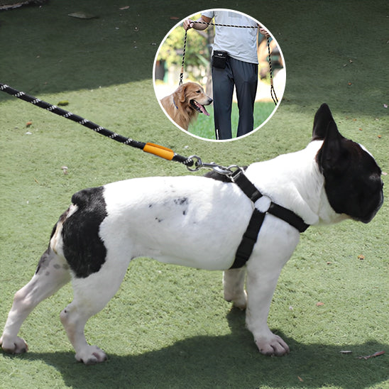 Laisse pour chien robuste et confortable pour chien qui tire