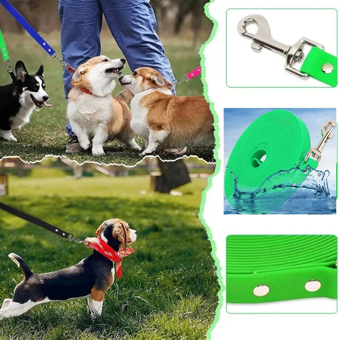 Longe pour chien avec poignée ergonomique confortable