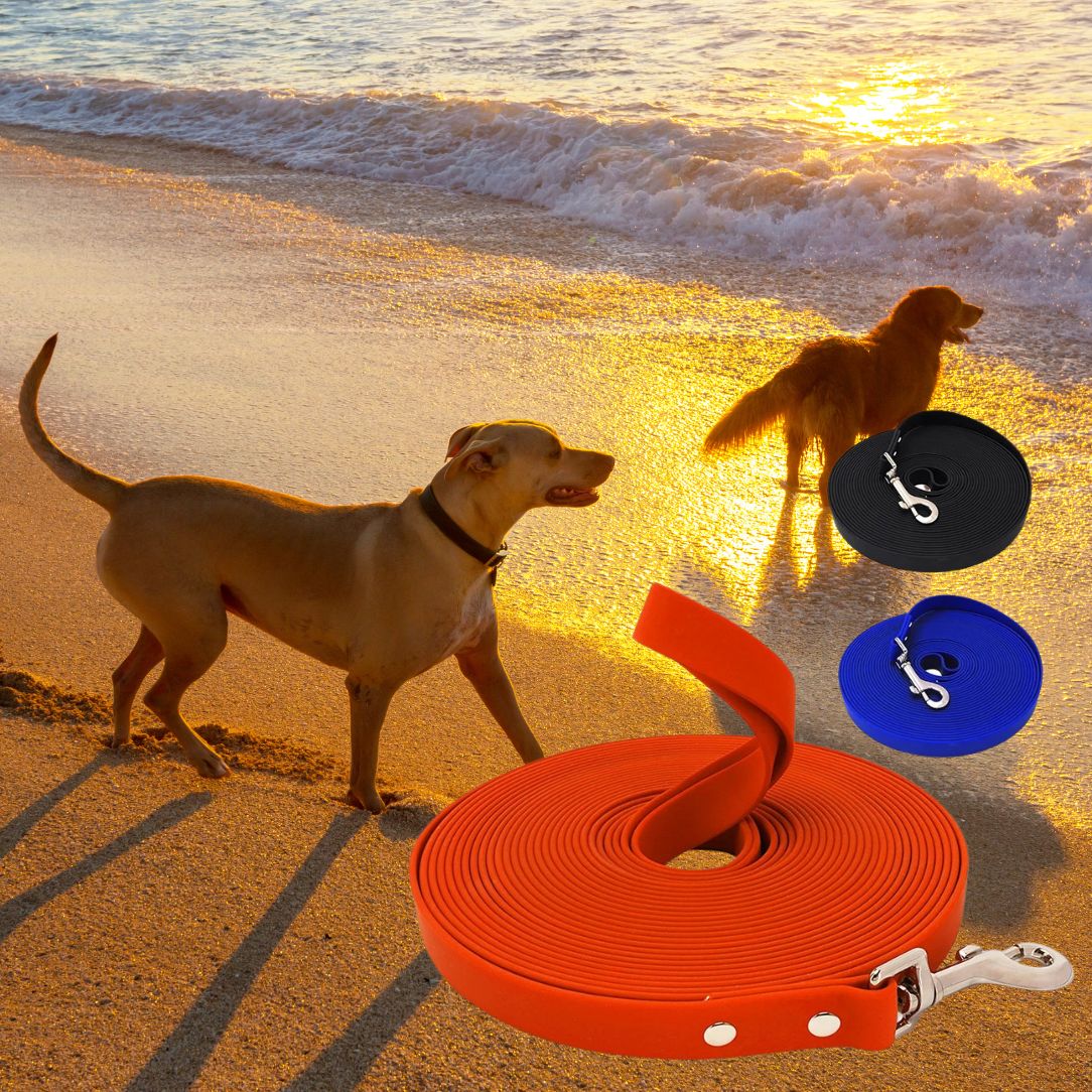 Longe pour chien imperméable parfaite pour sorties aquatiques