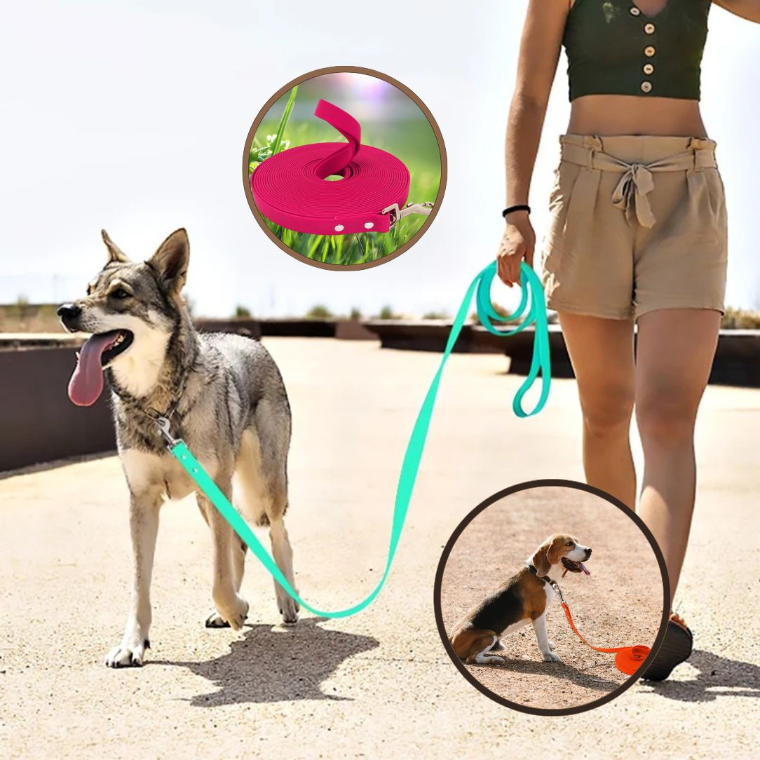 Longe pour chien réglable pour promenade en toute sécurité