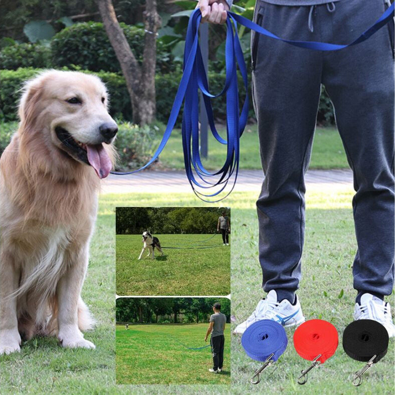 Longe pour chien | FreedomLeash™