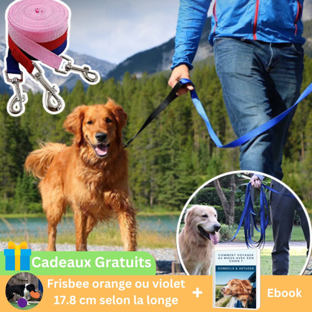 Longe pour chien | FreedomLeash™