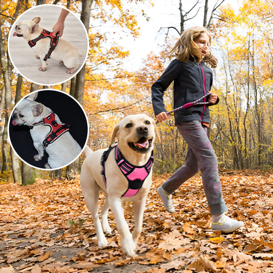 Maîtresse qui court avec un labrador portant un manteau pour chien rose