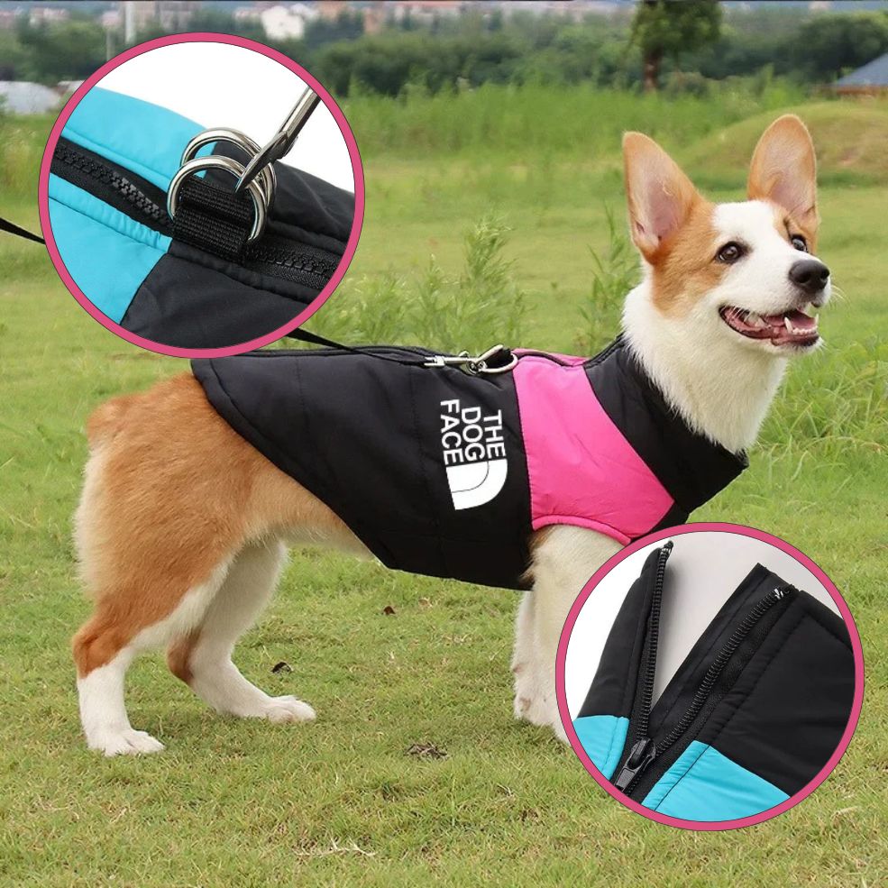 Manteau chien ergonomique avec fermeture éclair et anneaux laisse
