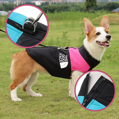 Manteau chien ergonomique avec fermeture éclair et anneaux laisse