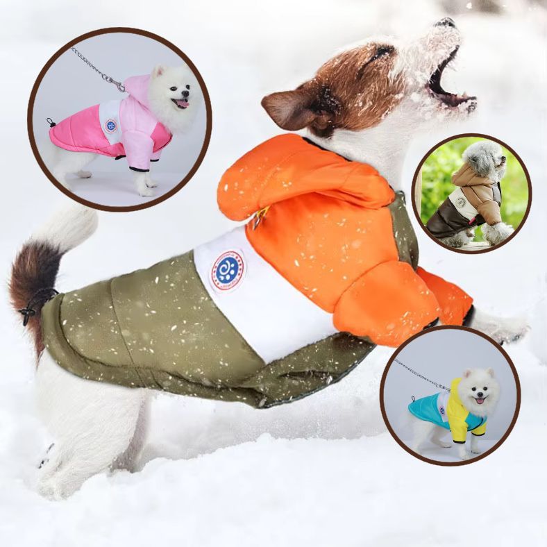 Manteau chien hiver avec fermetures réglables et style tendance