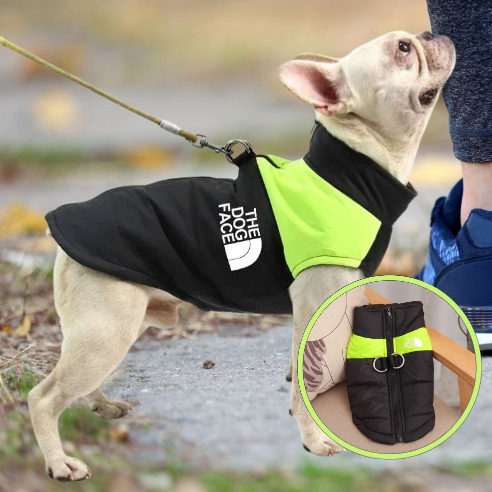 Manteau chien imperméable et résistant idéal par temps de pluie