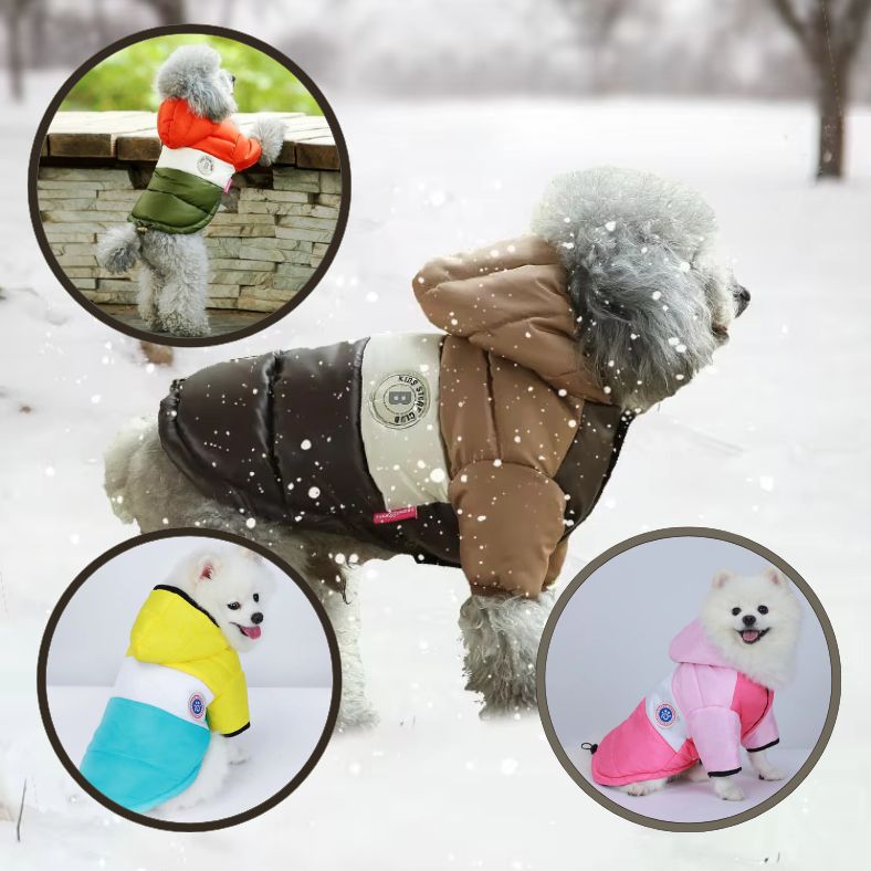 Manteau chien petit gabarit ajustable et confortable pour froid intense