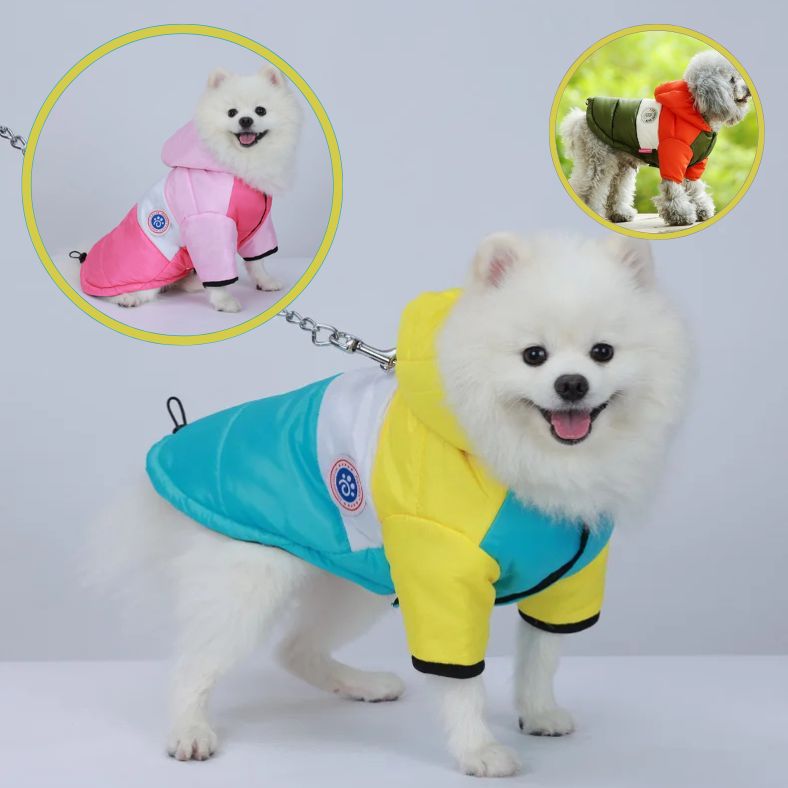 Manteau chien pour spitz nain chaud pratique et facile à enfiler