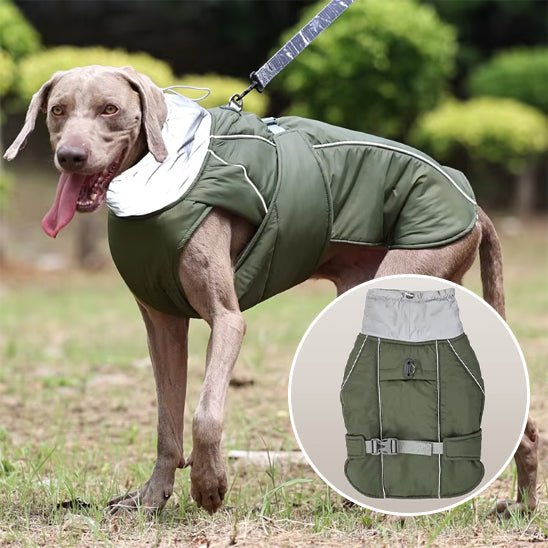 Manteau pour chien avec boucle en D intégrée pour laisse