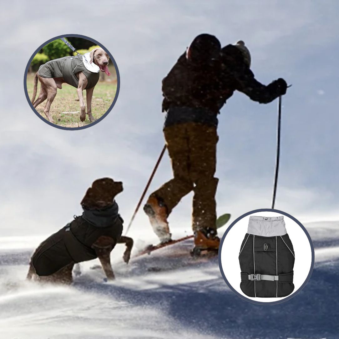Manteau pour chien avec doublure polaire pour hiver rigoureux