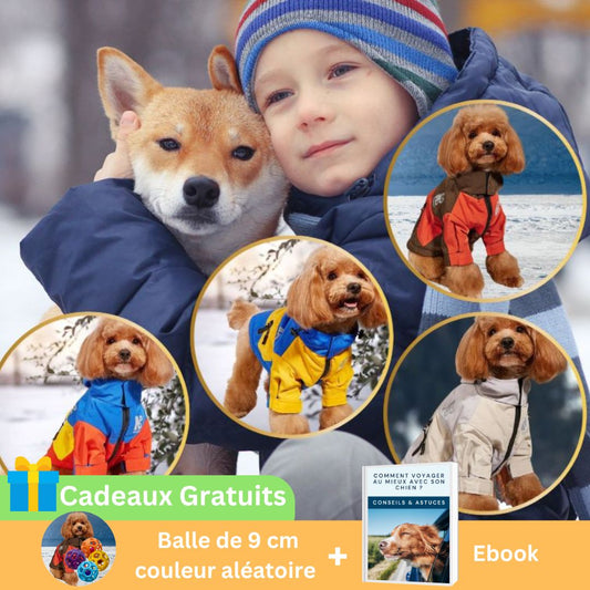 Manteau-pour-chien