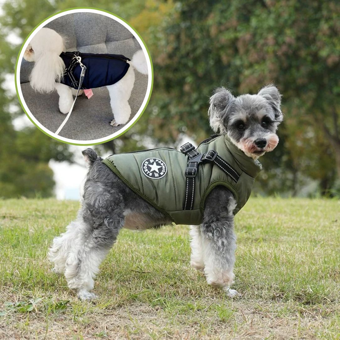 Manteau pour chien imperméable avec bande réfléchissante pour plus de sécurité