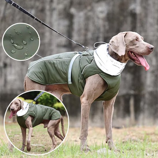 Manteau pour chien imperméable pour sortie sous la pluie