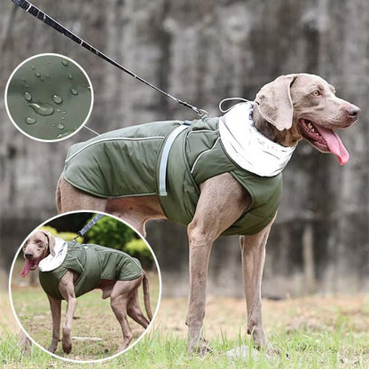 Manteau pour chien imperméable pour sortie sous la pluie